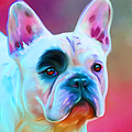 Vibrant French Bull Dog Portrait by Michelle Wrighton