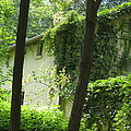 Paris - Green House by HEVi FineArt