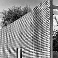 PARKER SHADOW Palm Springs Photograph by William Dey PARKER SHADOW Palm Springs Photograph by William Dey