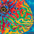 Parrotfish Painting by Daniel Jean-Baptiste Parrotfish Painting by Daniel Jean-Baptiste