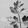 Parsley by Linda Woods Parsley by Linda Woods