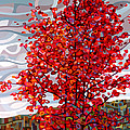 Passing Storm Painting by Mandy Budan Passing Storm Painting by Mandy Budan