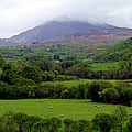 Peace on the Emerald Isle by Patricia Griffin Brett Peace on the Emerald Isle by Patricia Griffin Brett