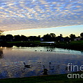 Peaceful sunset by De La Rosa Concert Photography Peaceful sunset by De La Rosa Concert Photography
