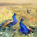 Peacocks In A Field by Mildred Anne Butler Peacocks In A Field by Mildred Anne Butler