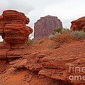 Pedestal Photograph by Jim Garrison Pedestal Photograph by Jim Garrison