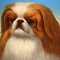 Pekingese Painting by James W Johnson Pekingese Painting by James W Johnson