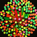 Pencil Blossom Photograph by Rick Locke - Out of the Corner of My Eye Pencil Blossom Photograph by Rick Locke - Out of the Corner of My Eye