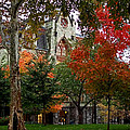 Penn in the Rain Photograph by Rona Black Penn in the Rain Photograph by Rona Black