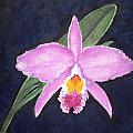 Penny's Orchid Painting by Denise Railey Penny's Orchid Painting by Denise Railey