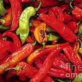 Peppers At Street Market Photograph by William H. Mullins Peppers At Street Market Photograph by William H. Mullins