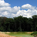 Peridot Pond by Joshua Bales Peridot Pond by Joshua Bales