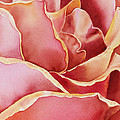 Petals Petals IIi by Irina Sztukowski Petals Petals IIi by Irina Sztukowski