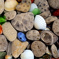 Petoskey Stones V Photograph by Michelle Calkins Petoskey Stones V Photograph by Michelle Calkins