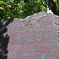 Petrified Wood on Display Photograph by Kenny Glover Petrified Wood on Display Photograph by Kenny Glover