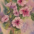 Petunia by Heather Gallup Petunia by Heather Gallup