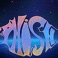 Phish Photograph by Bill Cannon Phish Photograph by Bill Cannon