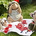 Picnic Tales Photograph by Spikey Mouse Photography Picnic Tales Photograph by Spikey Mouse Photography