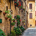 Pienza Street Photograph by Inge Johnsson Pienza Street Photograph by Inge Johnsson
