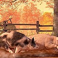 Pig Race by Daniel Eskridge Pig Race by Daniel Eskridge