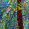 Pine Sprites Painting by Mandy Budan Pine Sprites Painting by Mandy Budan