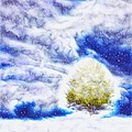 Pine Tree in Winter Digital Art by Lilia D Pine Tree in Winter Digital Art by Lilia D