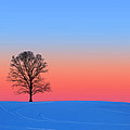 Pink and Blue Silhouette by Larry Landolfi
