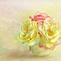Pink And Yellow Roses Photograph by Theresa Tahara Pink And Yellow Roses Photograph by Theresa Tahara