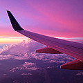 Pink Flight Photograph by Chad Dutson Pink Flight Photograph by Chad Dutson