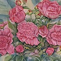 Pink Splendor by Heather Gallup Pink Splendor by Heather Gallup