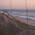 Pink Sunrise on the Beach by Nadine Rippelmeyer Pink Sunrise on the Beach by Nadine Rippelmeyer