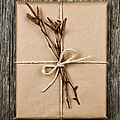 Plain Gift With Natural Decorations by Elena Elisseeva Plain Gift With Natural Decorations by Elena Elisseeva