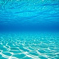 Plain Underwater Shot by M Swiet Productions Plain Underwater Shot by M Swiet Productions