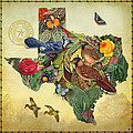 Nature Map of Texas Painting by Gary Grayson Nature Map of Texas Painting by Gary Grayson