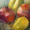 Pomegranates and Pears Painting by Jen Norton Pomegranates and Pears Painting by Jen Norton