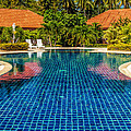 Pool Time by Adrian Evans Pool Time by Adrian Evans