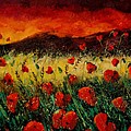 Poppies 68 by Pol Ledent Poppies 68 by Pol Ledent