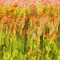 Poppies of Tuscany III Painting by David Letts Poppies of Tuscany III Painting by David Letts
