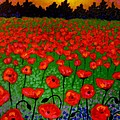 Poppy Carpet Painting by John Nolan Poppy Carpet Painting by John Nolan
