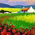 Poppy Field - Ireland Painting by John Nolan Poppy Field - Ireland Painting by John Nolan