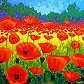 Poppy Field V Painting by John Nolan Poppy Field V Painting by John Nolan