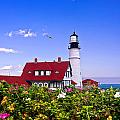 Portland Head Light and Roses Photograph by Mitchell R Grosky Portland Head Light and Roses Photograph by Mitchell R Grosky