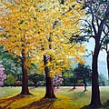 Poui Trees in the Savannah by Karin Dawn Kelshall- Best Poui Trees in the Savannah by Karin Dawn Kelshall- Best