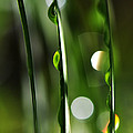 Pour by Christine Stonebridge Pour by Christine Stonebridge