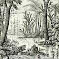 Prehistoric Flora, Carboniferous Photograph by British Library Prehistoric Flora, Carboniferous Photograph by British Library