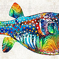 Puffer Fish Art - Blow Puff - By Sharon Cummings by Sharon Cummings Puffer Fish Art - Blow Puff - By Sharon Cummings by Sharon Cummings