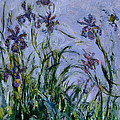 Purple Irises Painting by Claude Monet Purple Irises Painting by Claude Monet