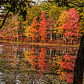 Quabbin reservoir fall foliage Photograph by Jeff Folger Quabbin reservoir fall foliage Photograph by Jeff Folger