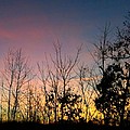 Quiet Evening Photograph by Linda Bailey Quiet Evening Photograph by Linda Bailey