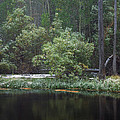 Quiet Time Along Rush Creek by Paul Breitkreuz